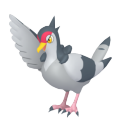 Tranquill in Pokémon HOME