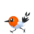 Fletchling Image