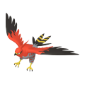 Talonflame in Pokémon HOME