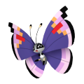 Vivillon (Elegant Pattern) in Pokémon HOME