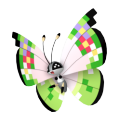 Vivillon Image