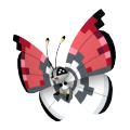 Vivillon (Poké Ball Pattern) in Pokémon HOME