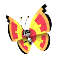 Vivillon (Sun Pattern) in Pokémon HOME