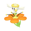 Flabébé (Orange Flower) in Pokémon HOME