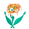 Florges (Orange Flower) in Pokémon HOME