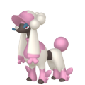 Furfrou (Matron Trim) in Pokémon HOME