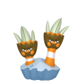Binacle Image