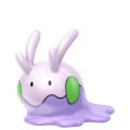 Goomy in Pokémon HOME