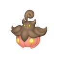 Pumpkaboo (Small Size) in Pokémon HOME