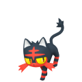 Litten in Pokémon HOME