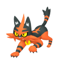 Torracat in Pokémon HOME