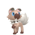 Rockruff in Pokémon HOME