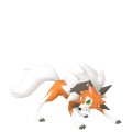 Lycanroc (Dusk Form) in Pokémon HOME