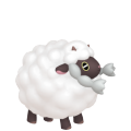 Wooloo in Pokémon HOME