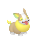 Yamper in Pokémon HOME