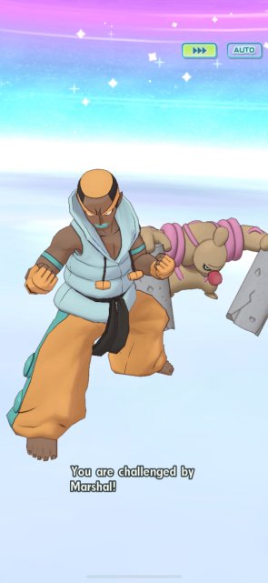 Challenge Marshal Image