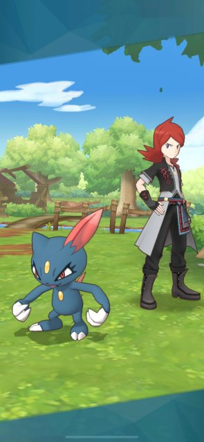 Silver and Sneasel Image