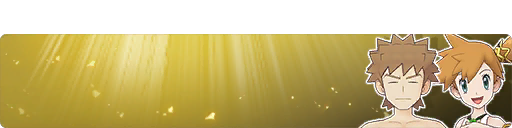 Arceus Arc Celebration Special Battle Event - Brock and Misty