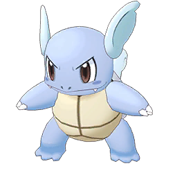 Wartortle Image