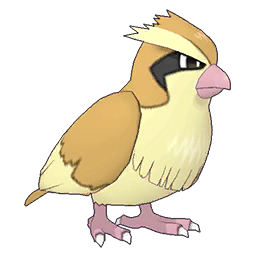 Pidgey