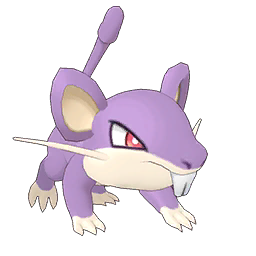 Rattata