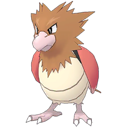 Spearow