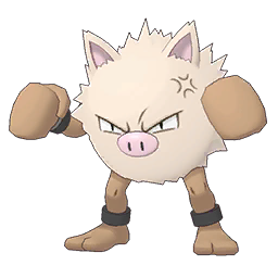 Primeape Image