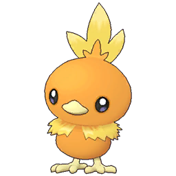 Torchic Image