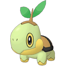 Turtwig Image