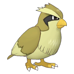 Pidgey Image