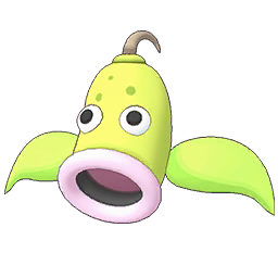 Weepinbell Image