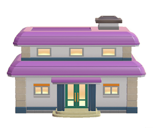 Purple City house kit