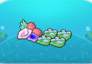 Swaying flower bed and coral