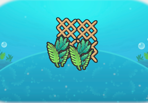 Seaweed and netting