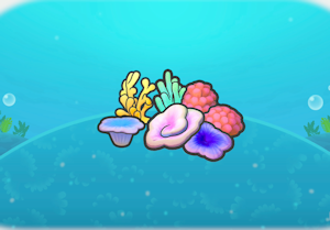 Coral congregation