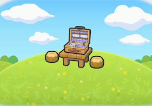 Picnic Set