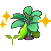 Bean sprout (Grow)