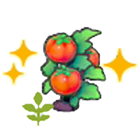 Blooming Tomato plant (Grow)