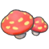 Cave mushrooms