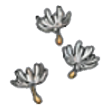 Cotton spores (outdoor)