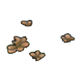 Dry yellow-green shoots