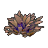 Dry yellow tall grass