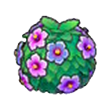 Healthy hedge (purple)