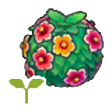 Healthy hedge sapling