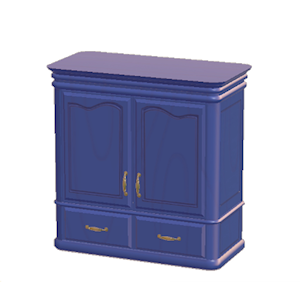 Navy Antique closet