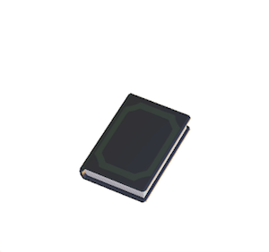 Black Book