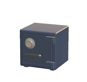 Black Safe