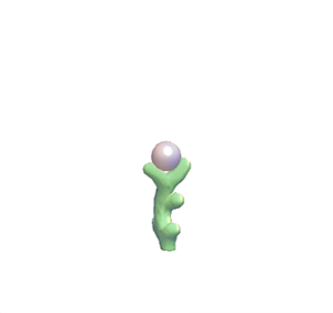 Green Seashell fencing