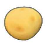 Potato