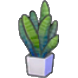 Potted plant